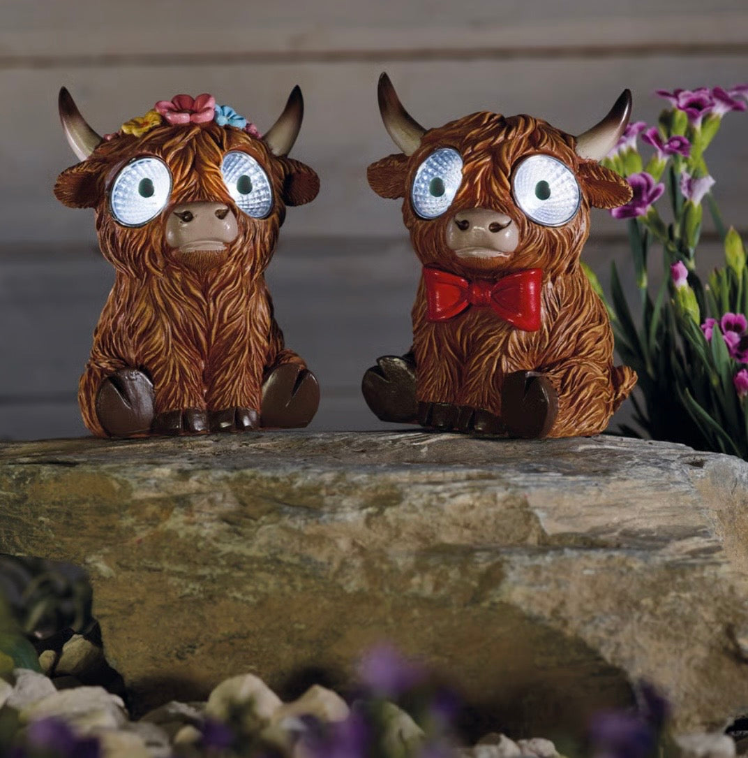 Solar Bright Eyes Highland Cow Solar Light