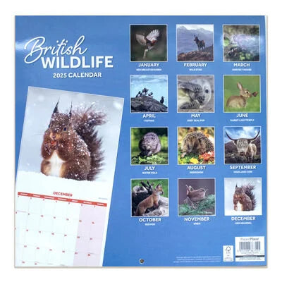 Wildlife calendar And Diary