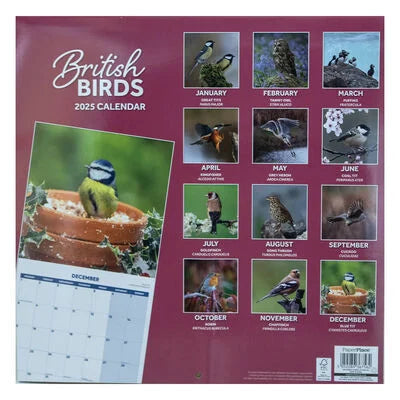British Birds Calender And Diary