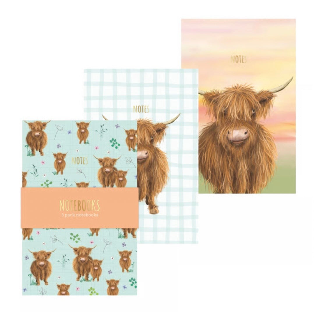 Highland Cow A6 Notebook 3 Pack