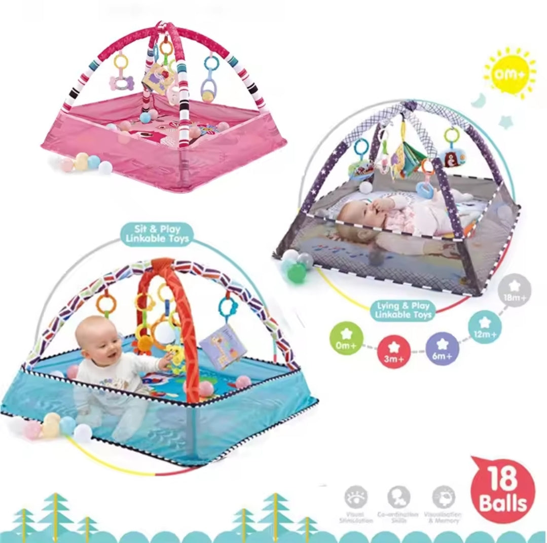 Baby Play Gym