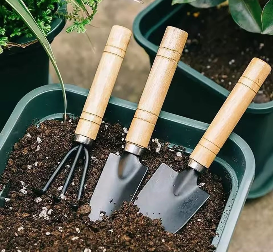 Garden Tool Set