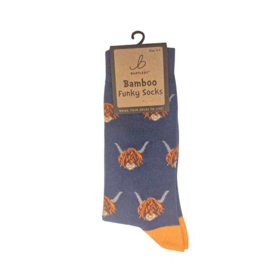 Ladies Funky Bamboo Socks