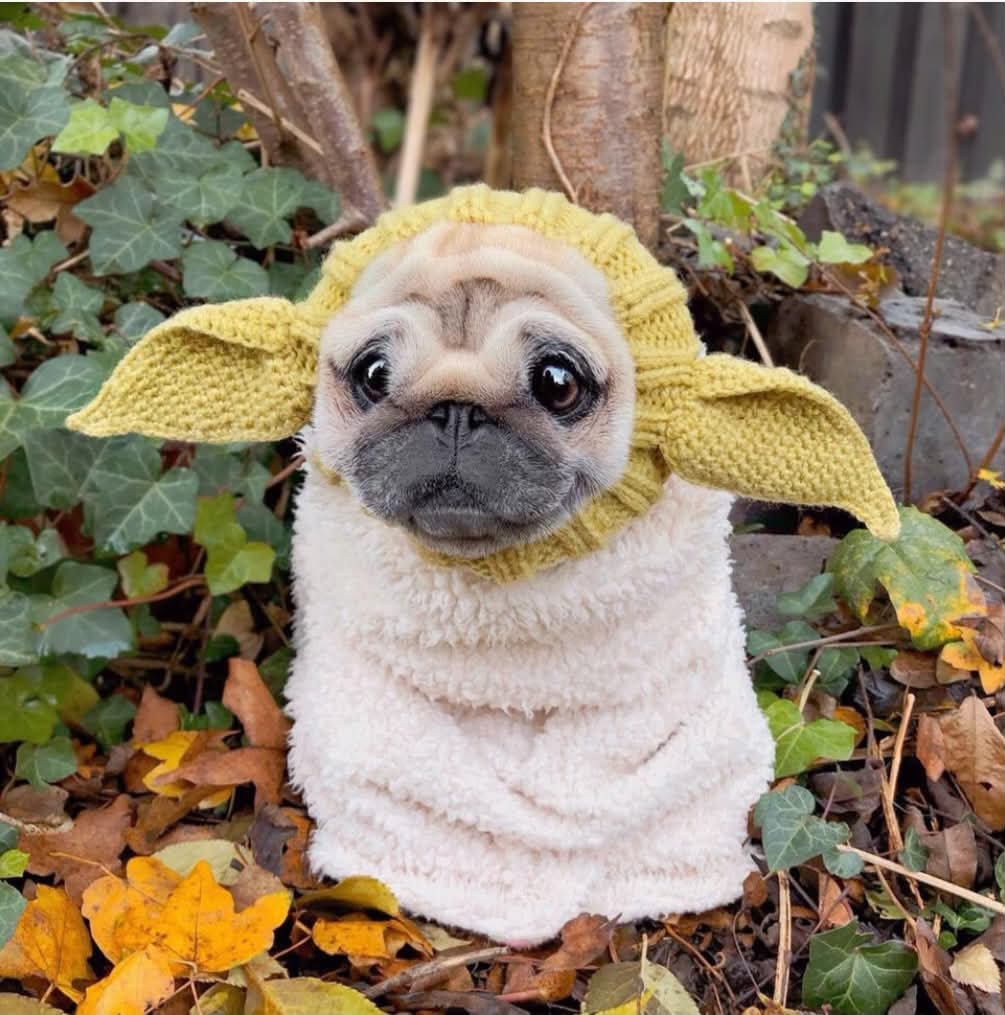 Alien - Inspired Knit Dog Snood Wrap