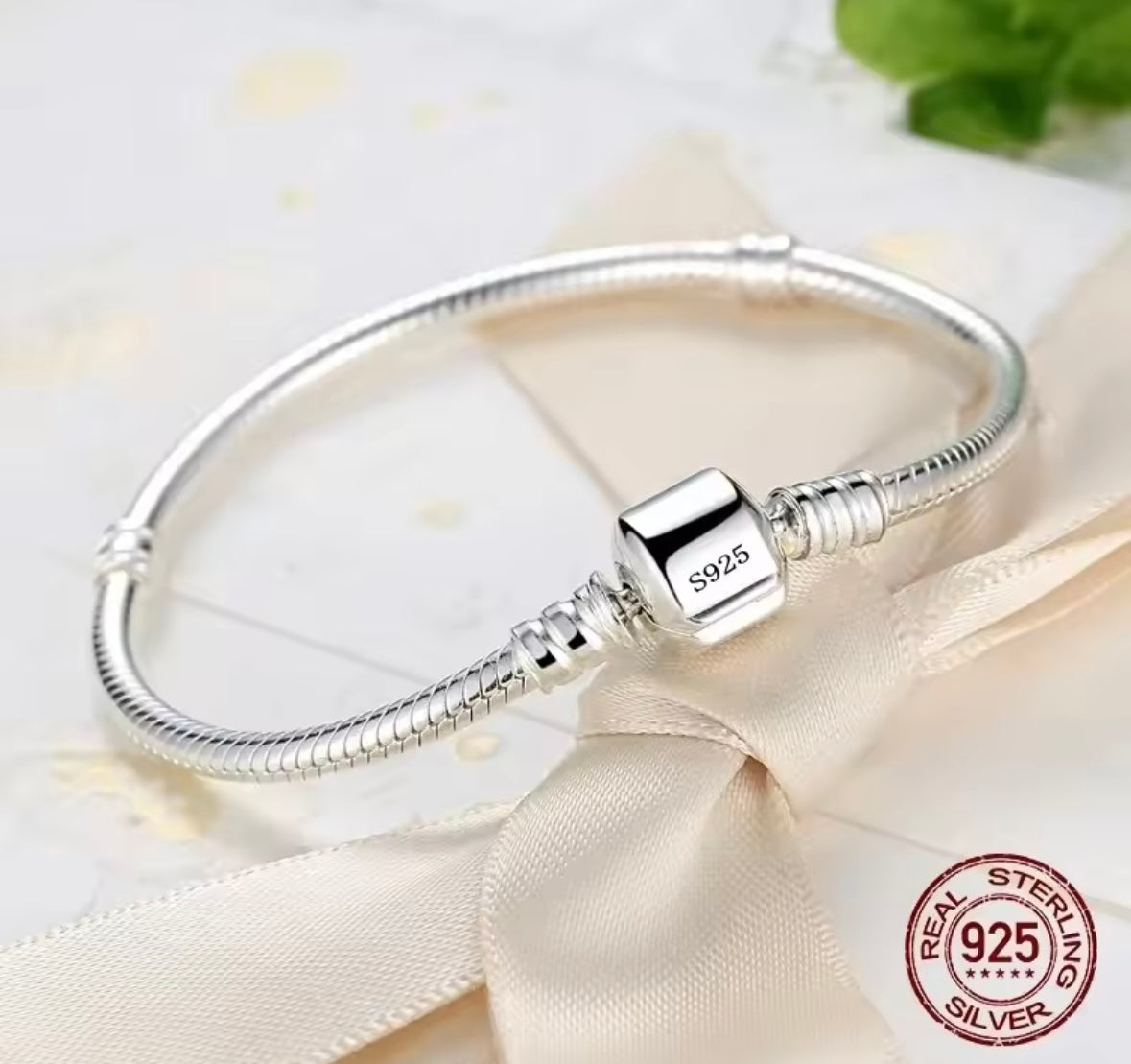 Silver Charm Bracelet