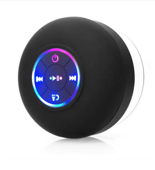 Shower Speaker