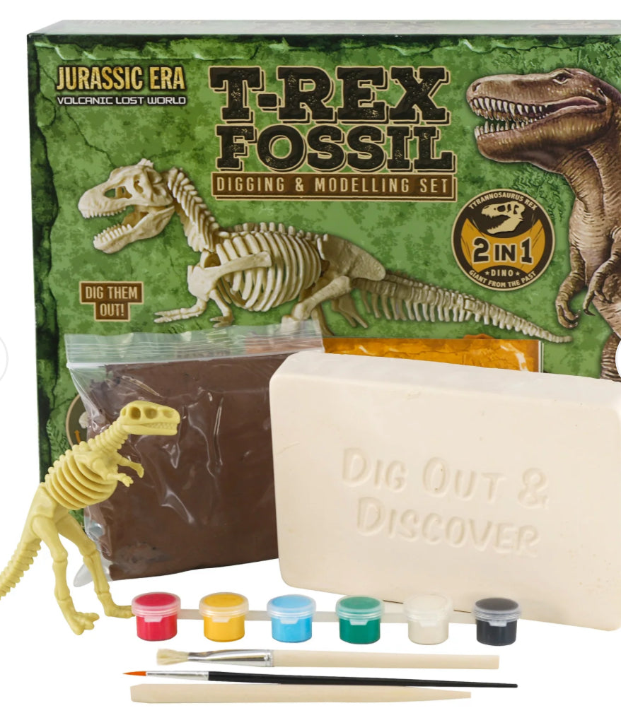 2 in 1 Fossil Excavation Kit