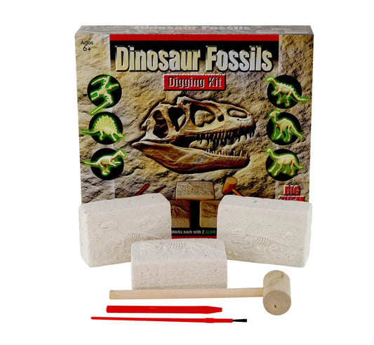 Dinosaur Fossils Digging Kit