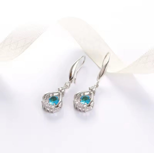925 Silver Earrings