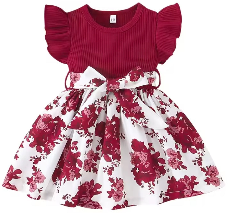 Baby/Toddler Girls Dress