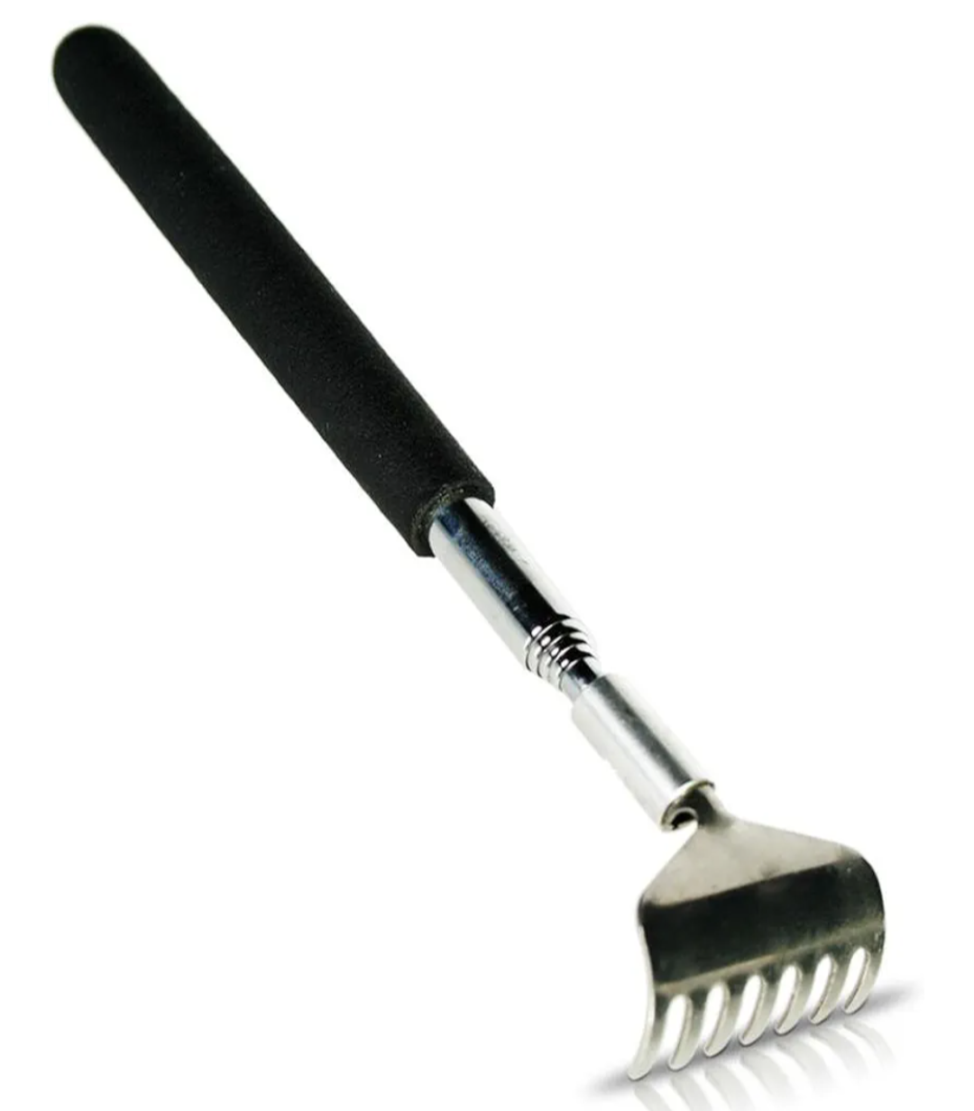 Extendable back scratcher