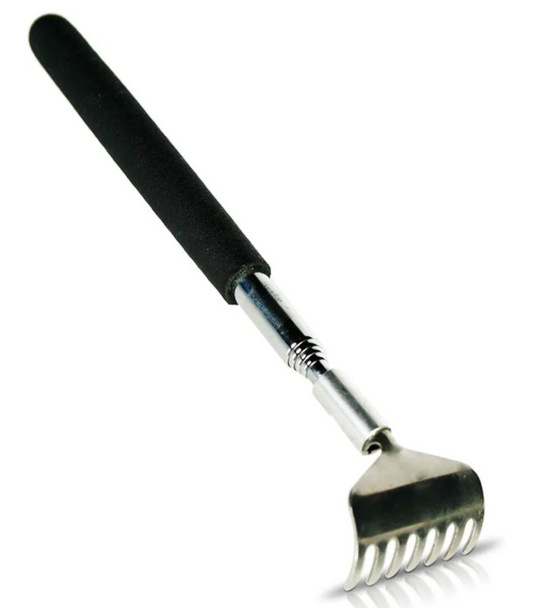 Extendable back scratcher
