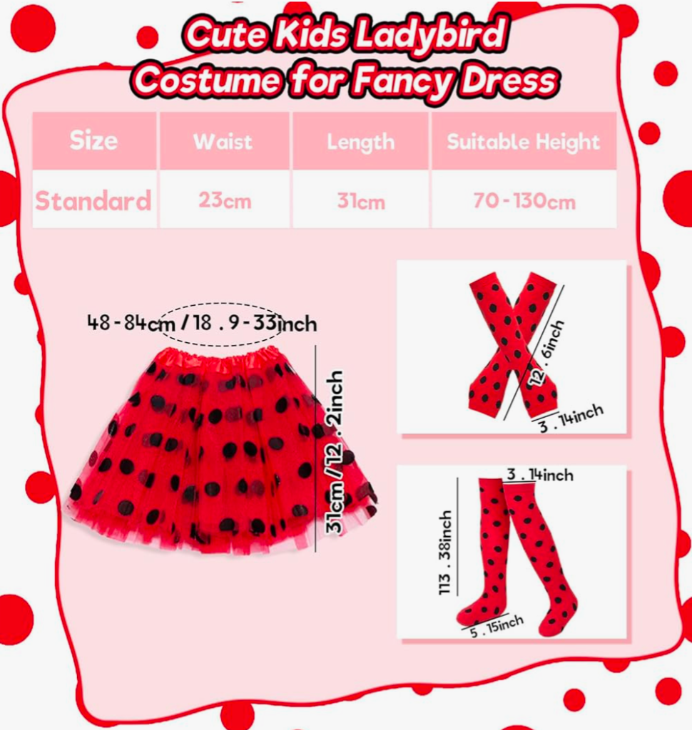 Ladybird Fancy Dress