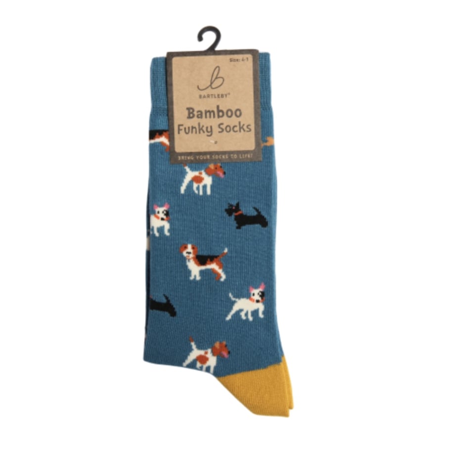 Ladies Funky Bamboo Socks