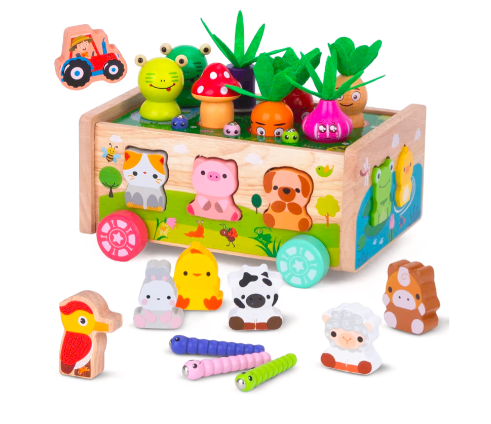 Wooden Animal Shape Sorter