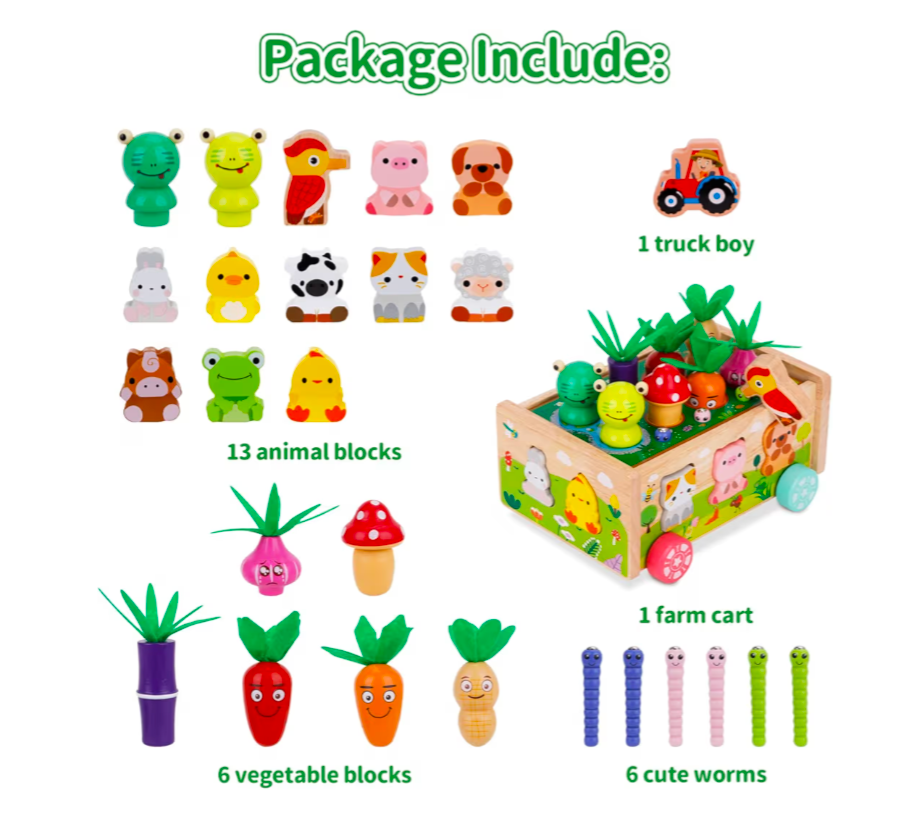 Wooden Animal Shape Sorter