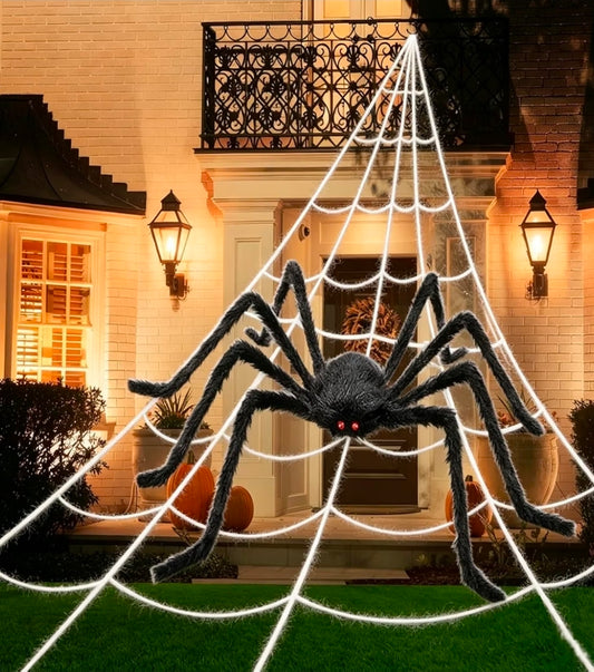 Spider Web & Giant Spider