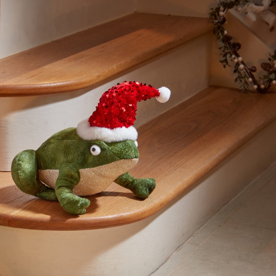Festive Frog