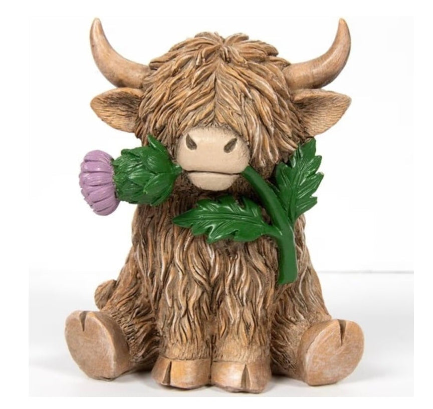 Highland Cow With Thistle